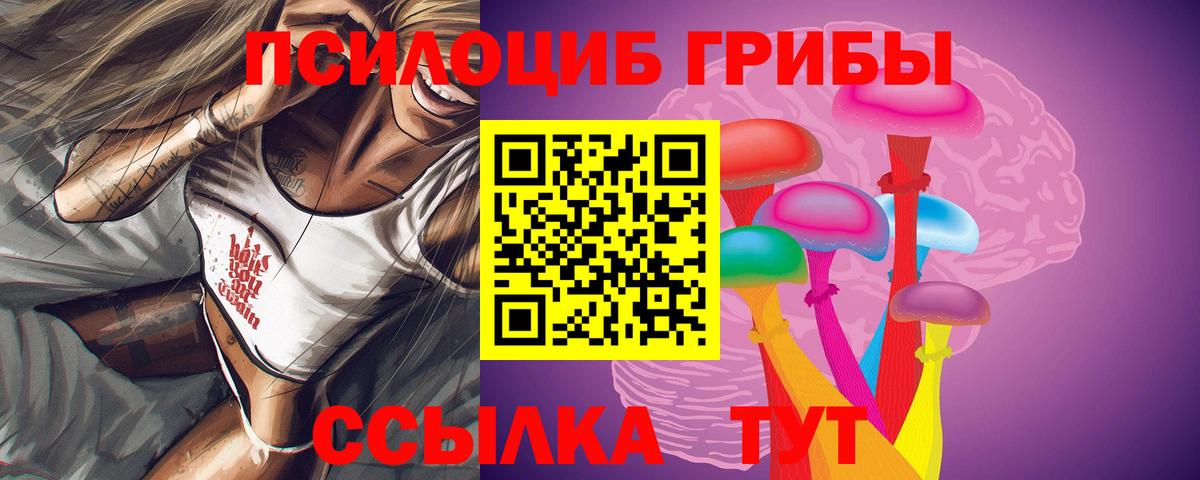 Галлюциногенные грибы GOLDEN TEACHER Сертолово